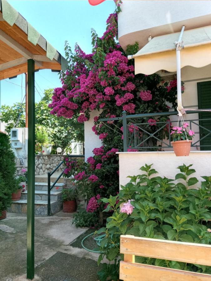 Vila Zogaj كساميل المظهر الخارجي الصورة