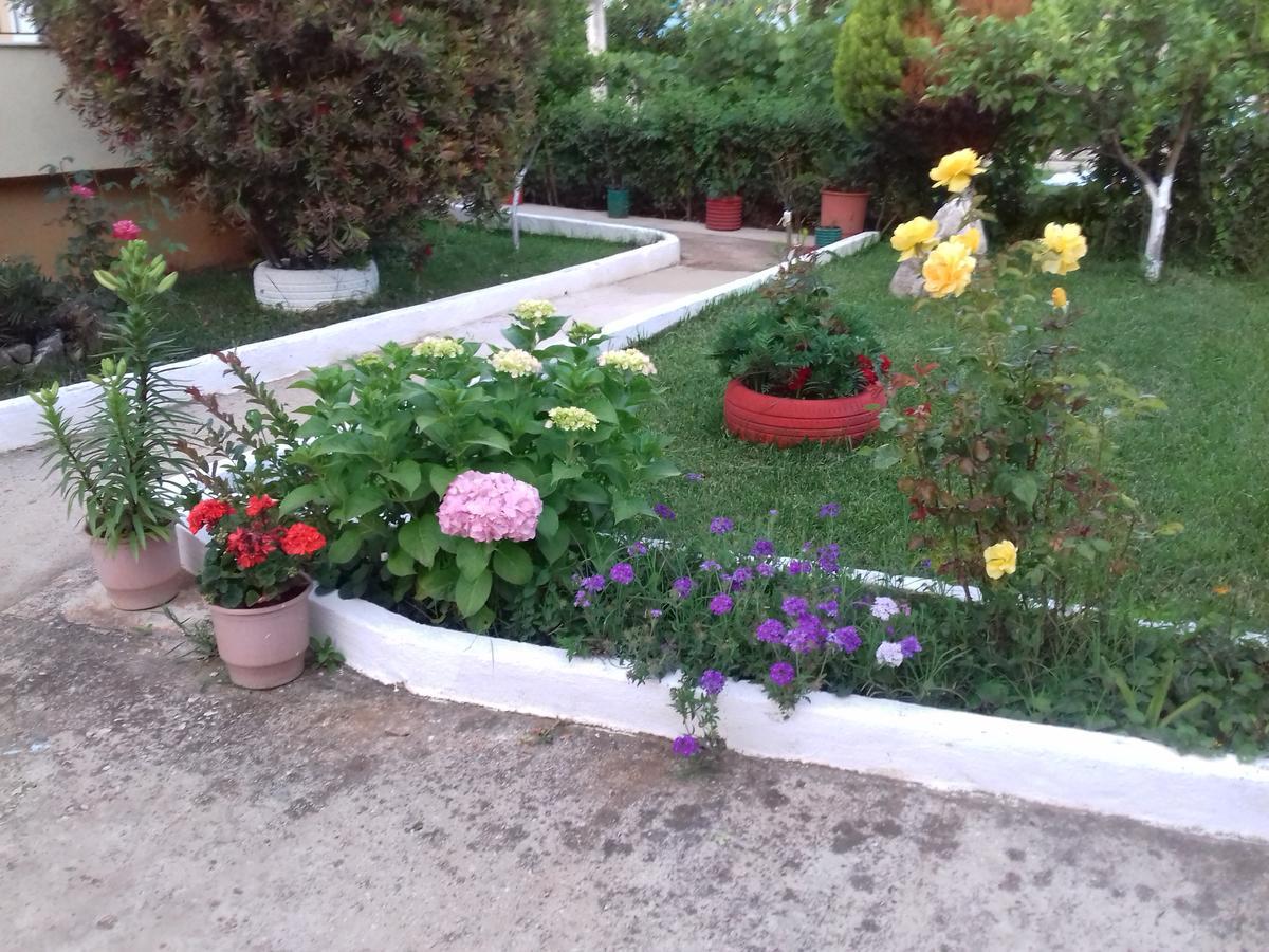 Vila Zogaj كساميل المظهر الخارجي الصورة