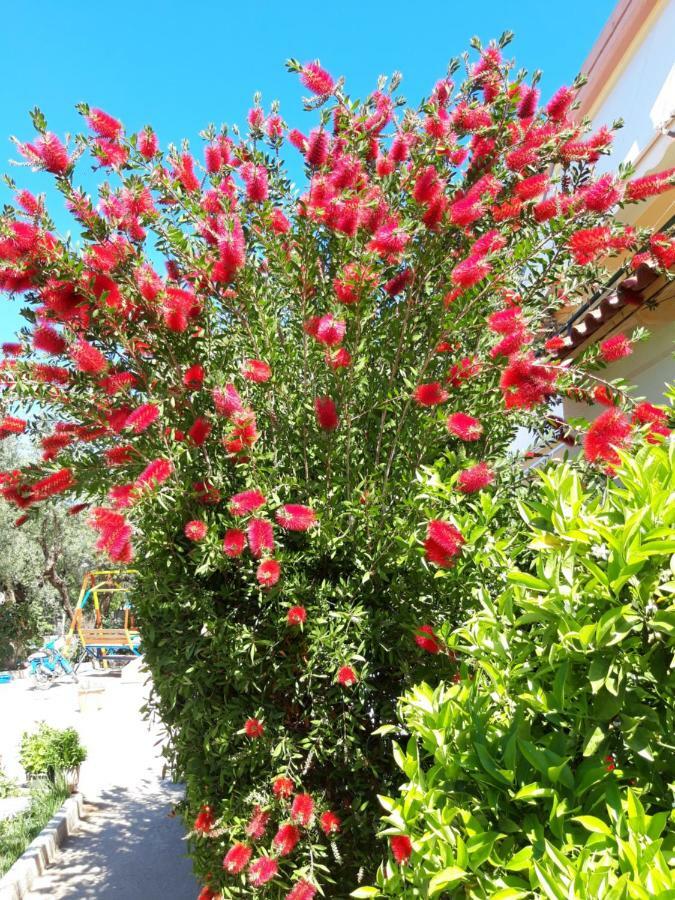 Vila Zogaj كساميل المظهر الخارجي الصورة